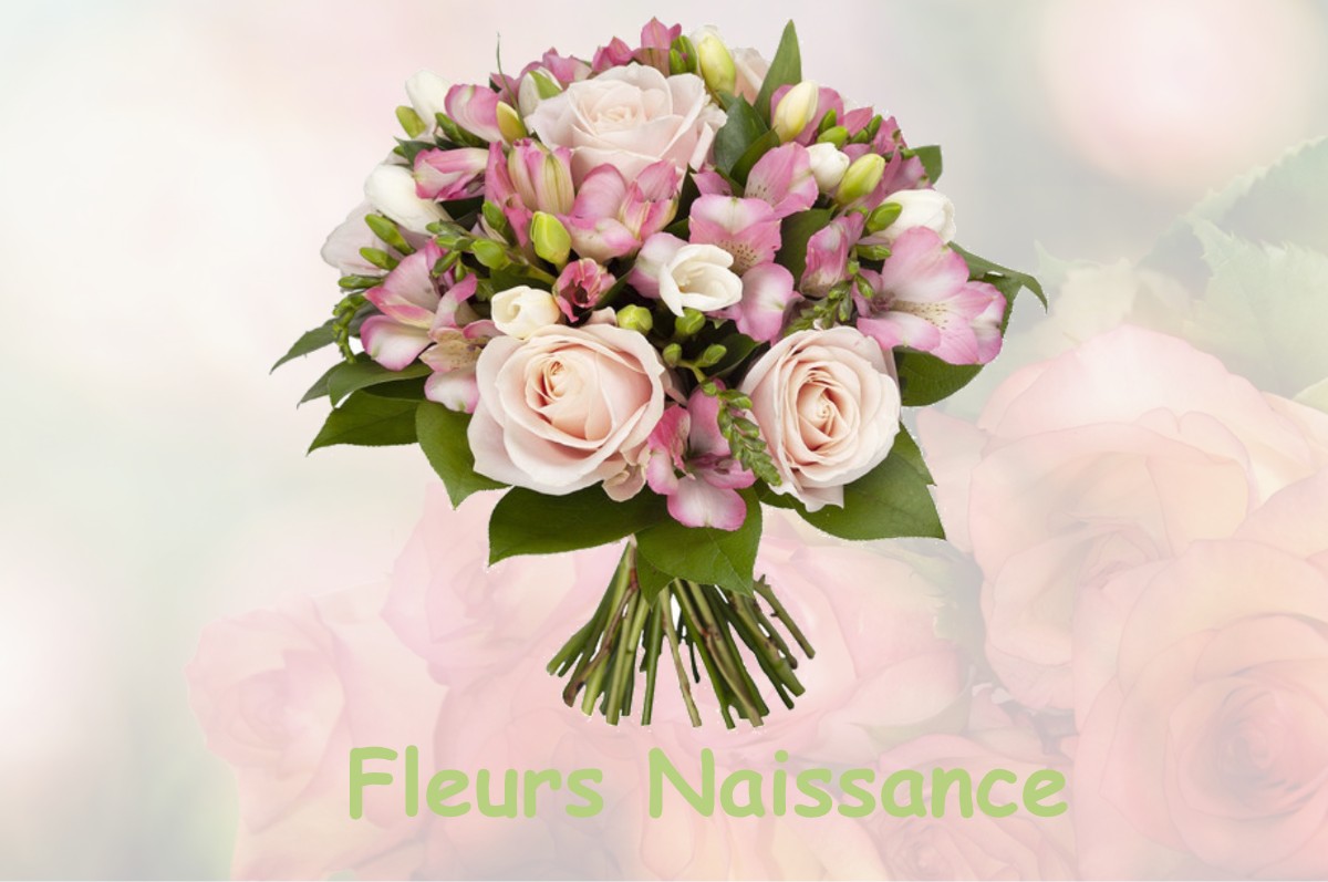 fleurs naissance LA-HAIE-FOUASSIERE